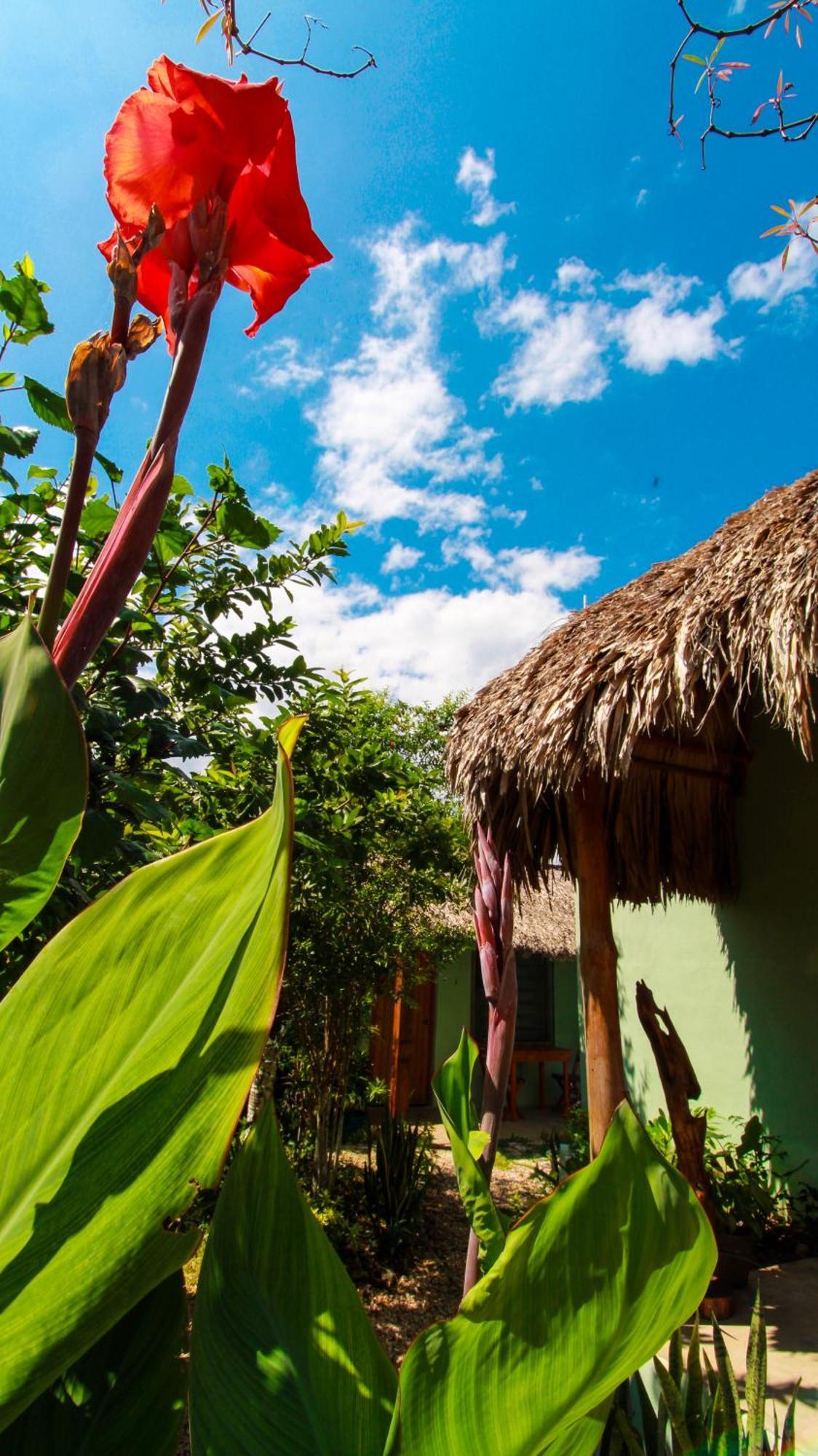 Las Palmas Bacalar Eksteriør billede